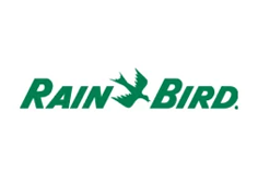 rainbird